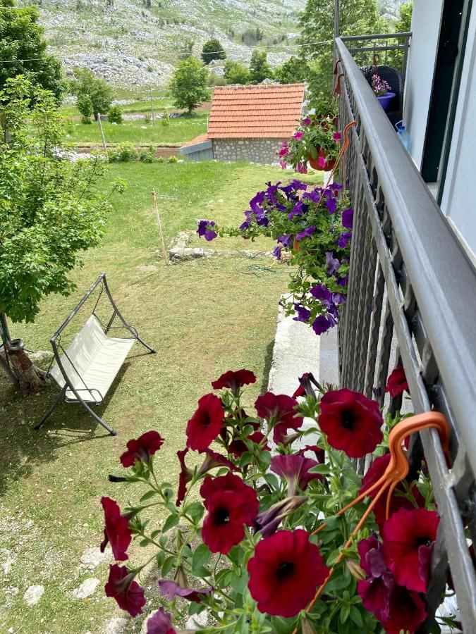 Guest House Markovic Lovcen Cetinje Bagian luar foto